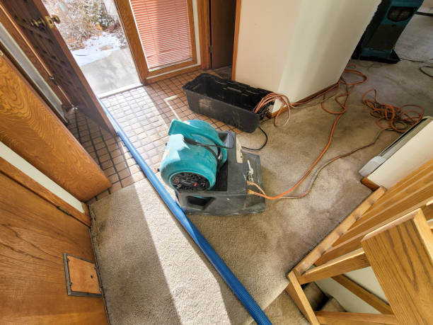 Best 24/7 water damage repair  in Annandale, VA