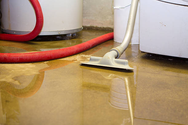 Best 24-hour water damage restoration  in Annandale, VA