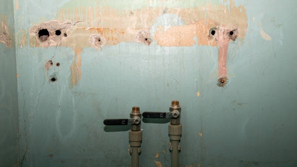 Best Water damage restoration near me  in Annandale, VA