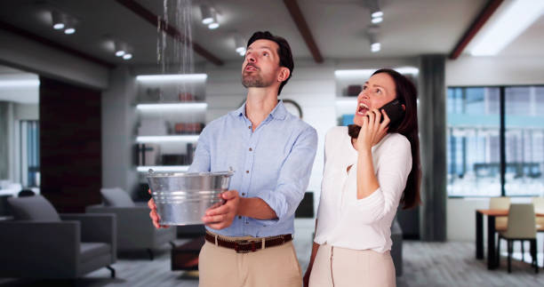 Best Mold removal after water damage  in Annandale, VA